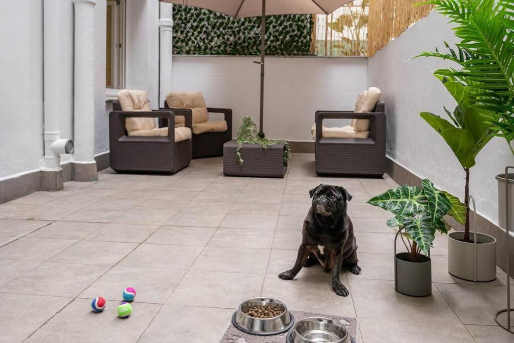 El Patio De Schulz Apartment กิฮอน ภายนอก รูปภาพ